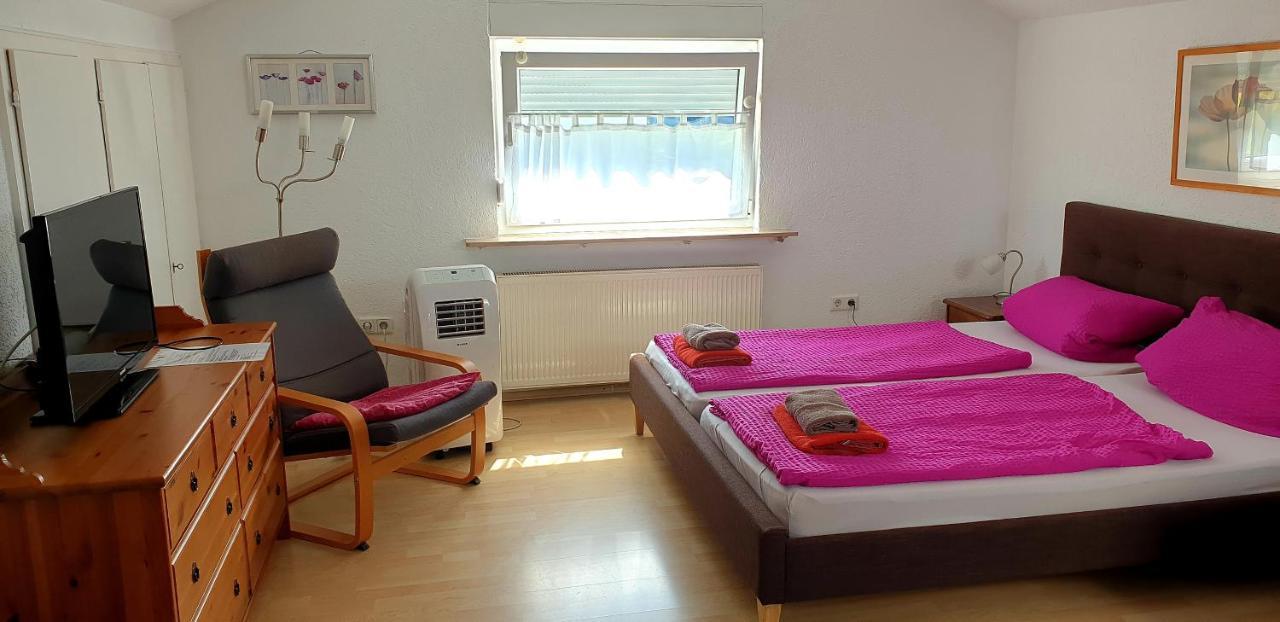 Apartmenthaus "Zum Lowen" Heidelberg - Ziegelhausen Dış mekan fotoğraf
