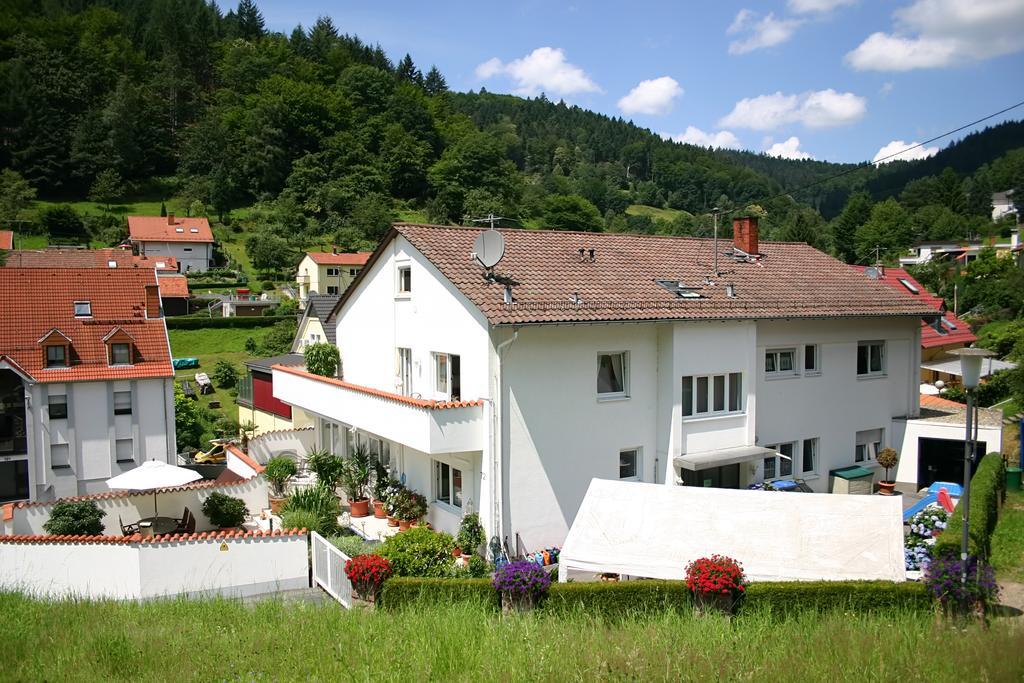 Apartmenthaus "Zum Lowen" Heidelberg - Ziegelhausen Dış mekan fotoğraf