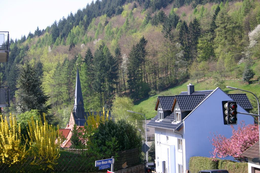 Apartmenthaus "Zum Lowen" Heidelberg - Ziegelhausen Dış mekan fotoğraf