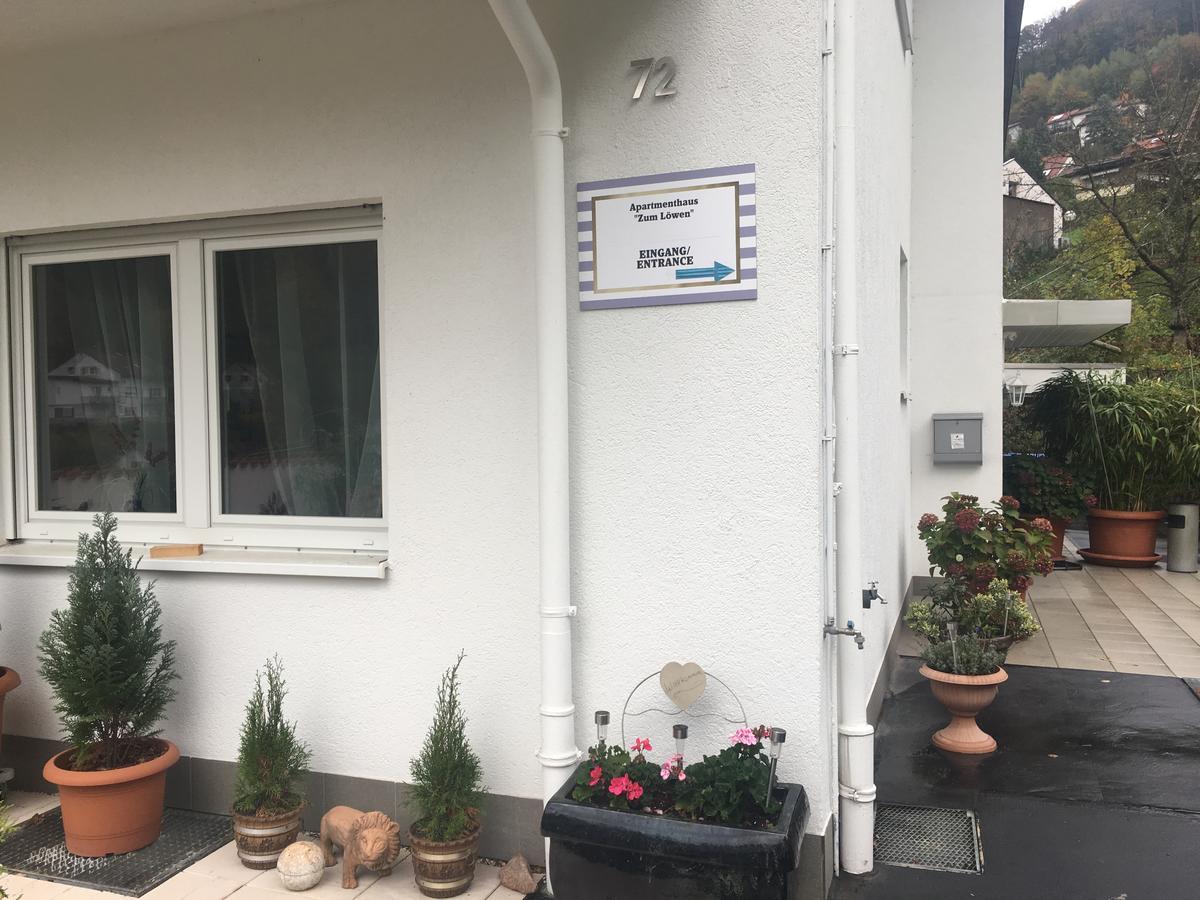 Apartmenthaus "Zum Lowen" Heidelberg - Ziegelhausen Dış mekan fotoğraf